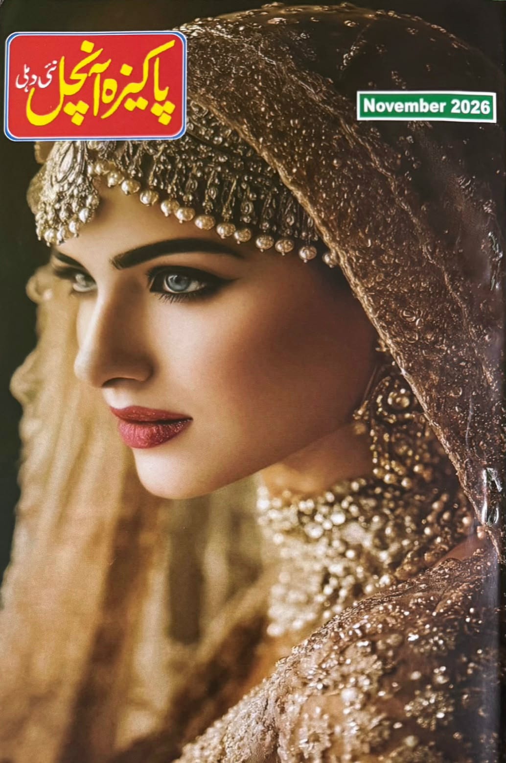 Pakeeza Aanchal magazine November 2026