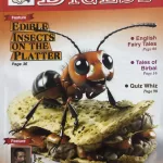 Children's Digest Kids magazine March 2025 - Feature Edible Insects on the platter