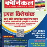 Civil Services Chronicle Hindi magazine June 2025 - Prashn Visheshank