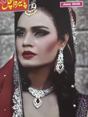 Pakeeza Aanchal magazine June 2025 - Pakiza Aachal June 2025