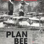 Down to Earth magazine 01-15 June First 2025 Edition - Plann BEE