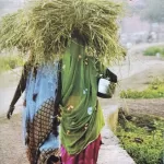 Kathadesh Sahitya Hindi Book November 2025